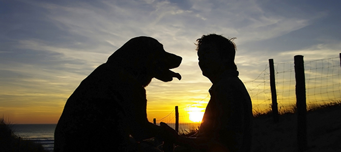 Category: Pets and People